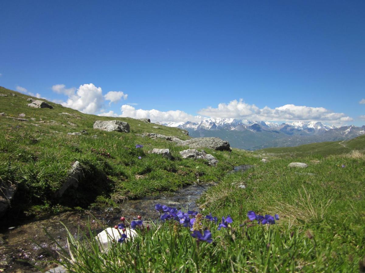 Grande Marmotte, Ski Aux Pieds, Le Refuge Du Montagnard, Arc 1950 圣莫里斯堡 外观 照片