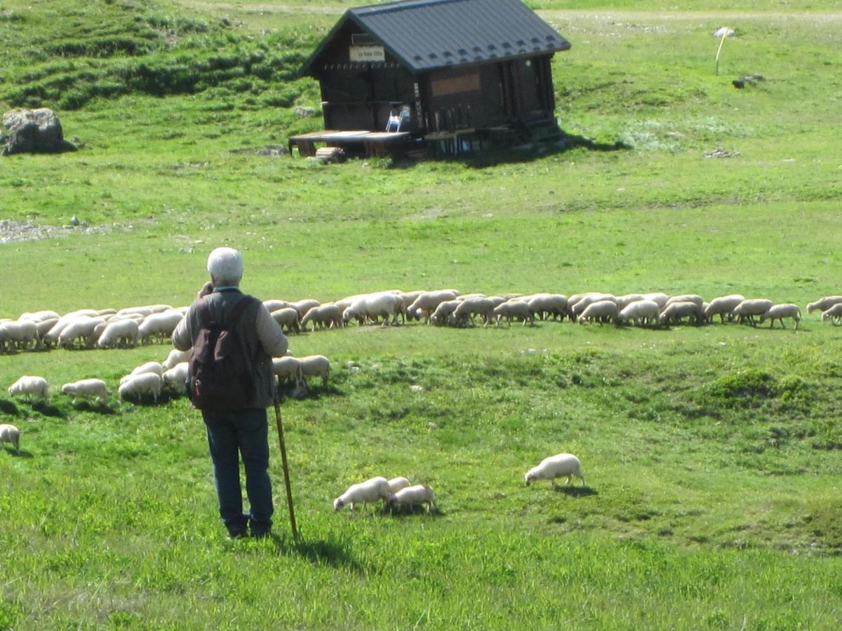 Grande Marmotte, Ski Aux Pieds, Le Refuge Du Montagnard, Arc 1950 圣莫里斯堡 外观 照片
