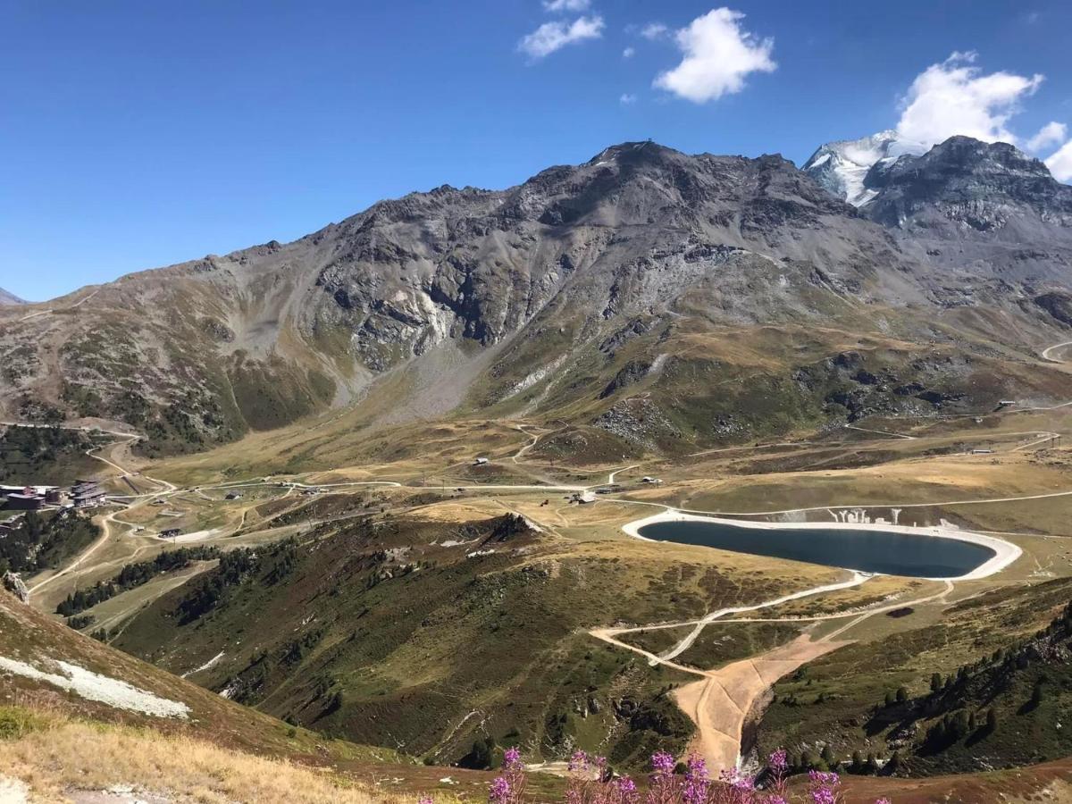 Grande Marmotte, Ski Aux Pieds, Le Refuge Du Montagnard, Arc 1950 圣莫里斯堡 外观 照片